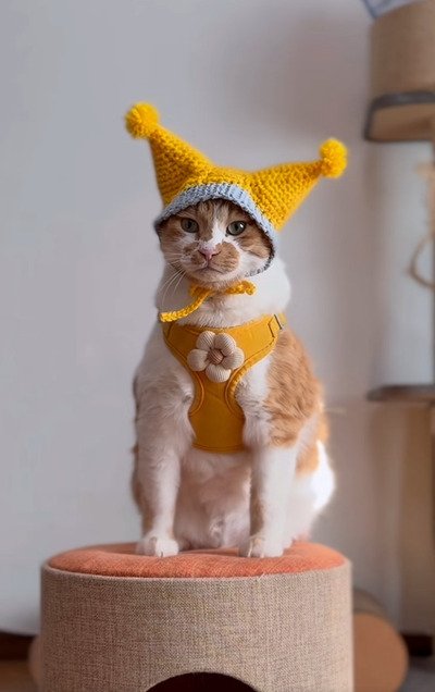 出所：＠monburan_sanpo