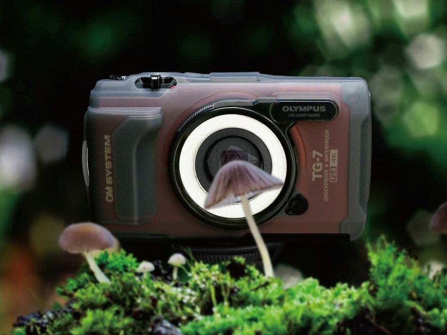 公式リリースより