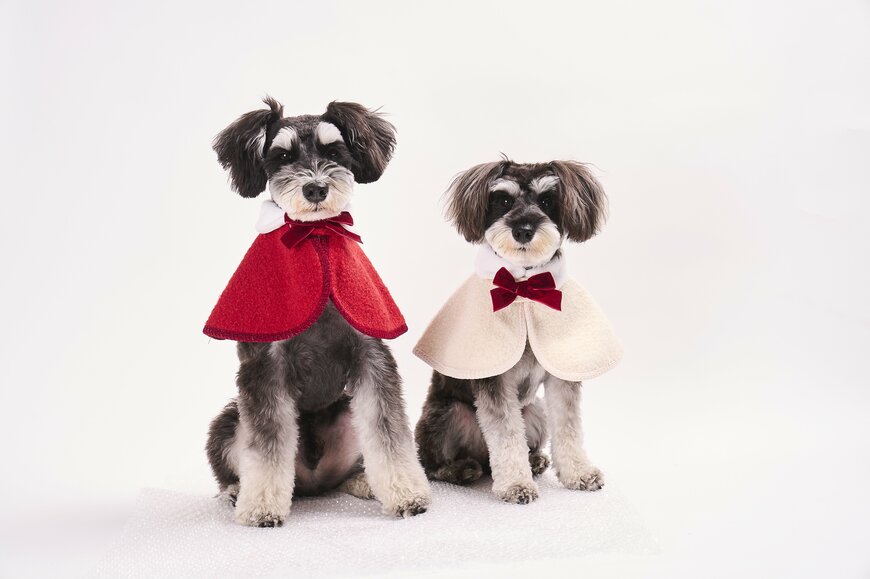 出所：イオン株式会社　「チェックマント」「ベロアリボンマント（ホワイト／レッド）」