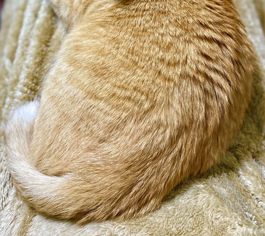 出所：@luna7taka9