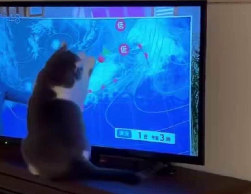 出所：@brimochi222