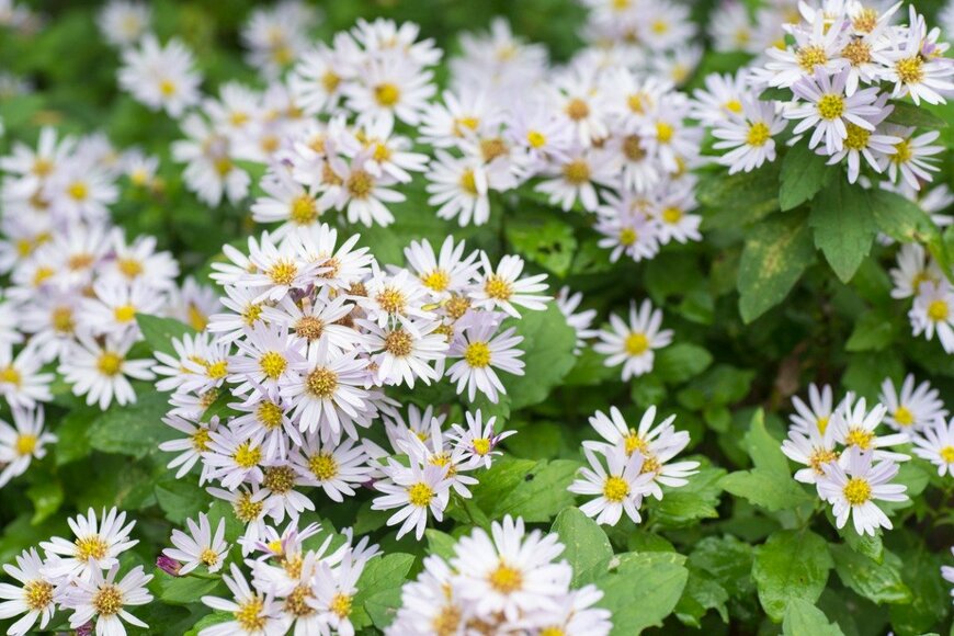 itasun/istockphoto.com