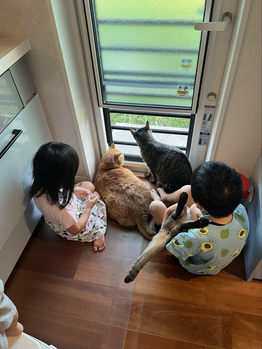 出所：@kagisuzu0531