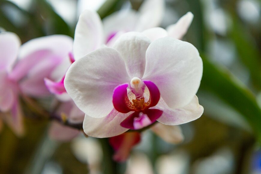 Lars Fortuin/istockphoto.com