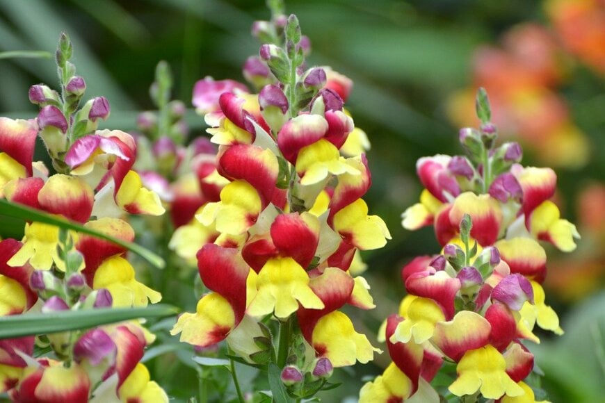 Orest Lyzhechka/istockphoto.com