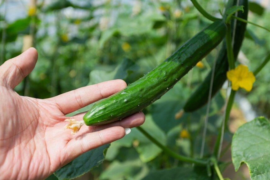 boyphare/shutterstock.com