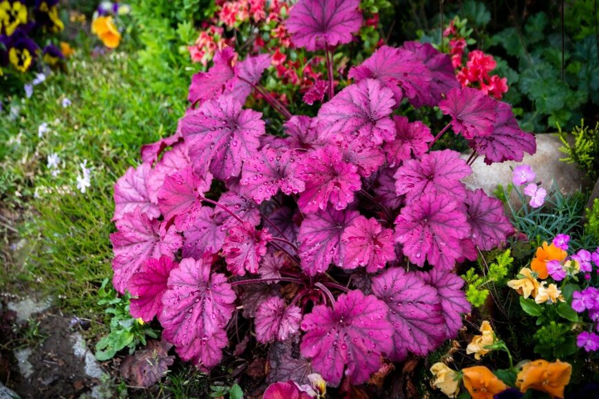 Poliuszko/istockphoto.com