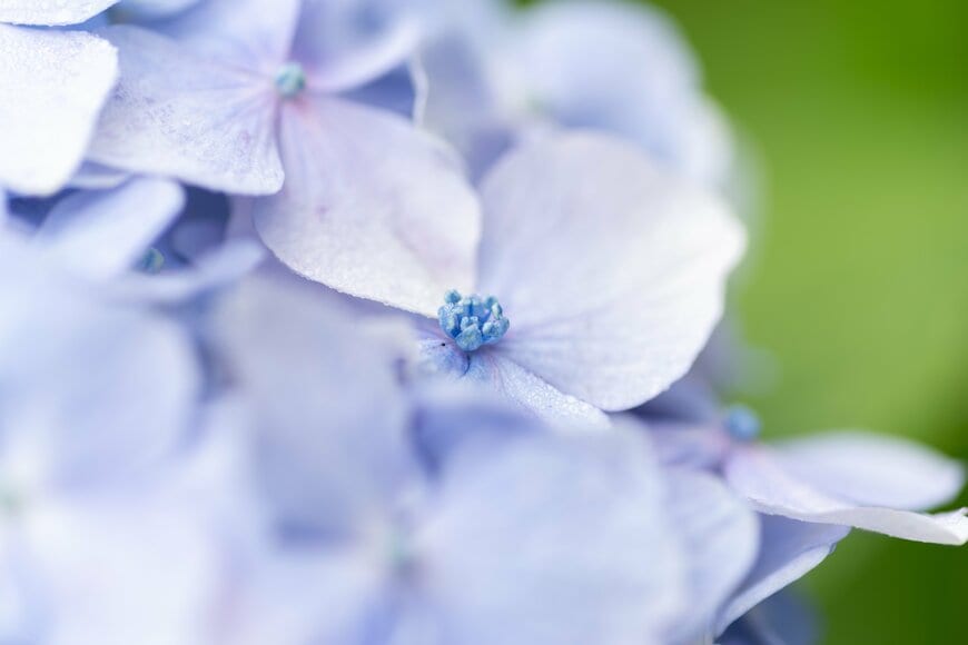 【遺族年金生活者支援給付金】遺族年金に上乗せ「月額5620円」を受け取るための条件をみる！全国で7万件超「40〜50歳代」が中心