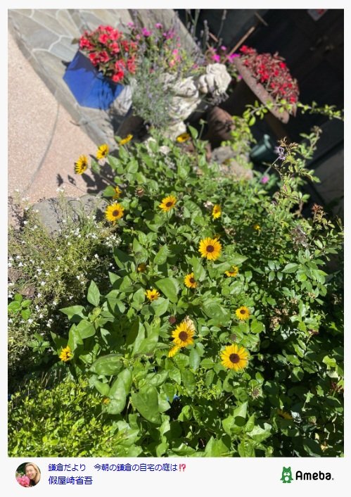 出所：假屋崎省吾のAmebaブログ 参照日：2025年7月10日