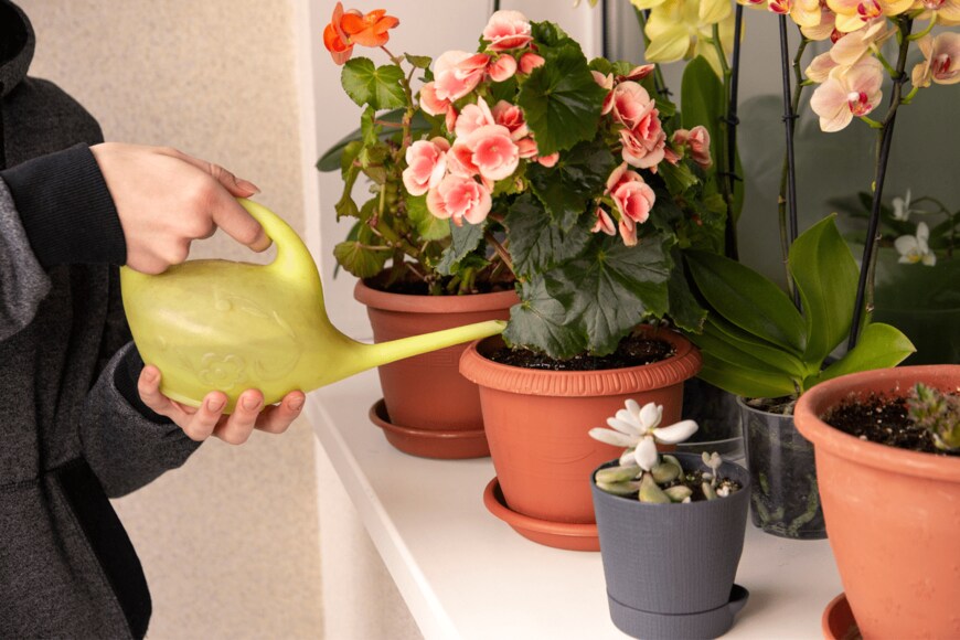 Summer 1810/shutterstock.com