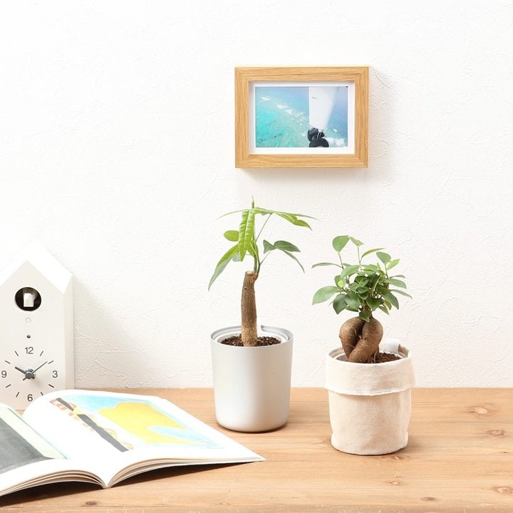 画像出所：無印良品公式オンラインストア