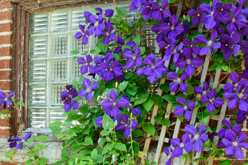 Milaspage/istockphoto.com