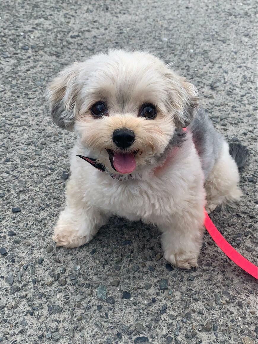 出所：@potage_0924