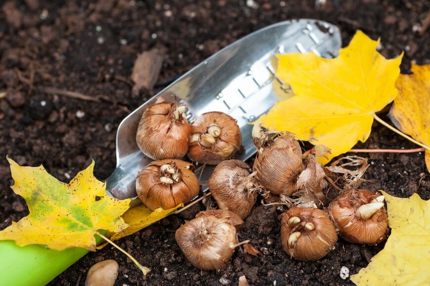 onepony/istockphoto.com