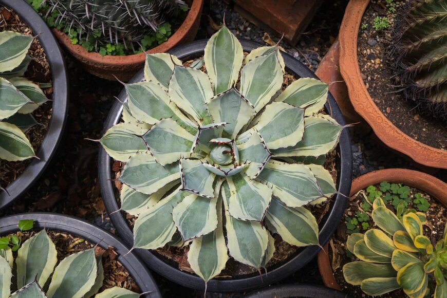 De19/shutterstock.com