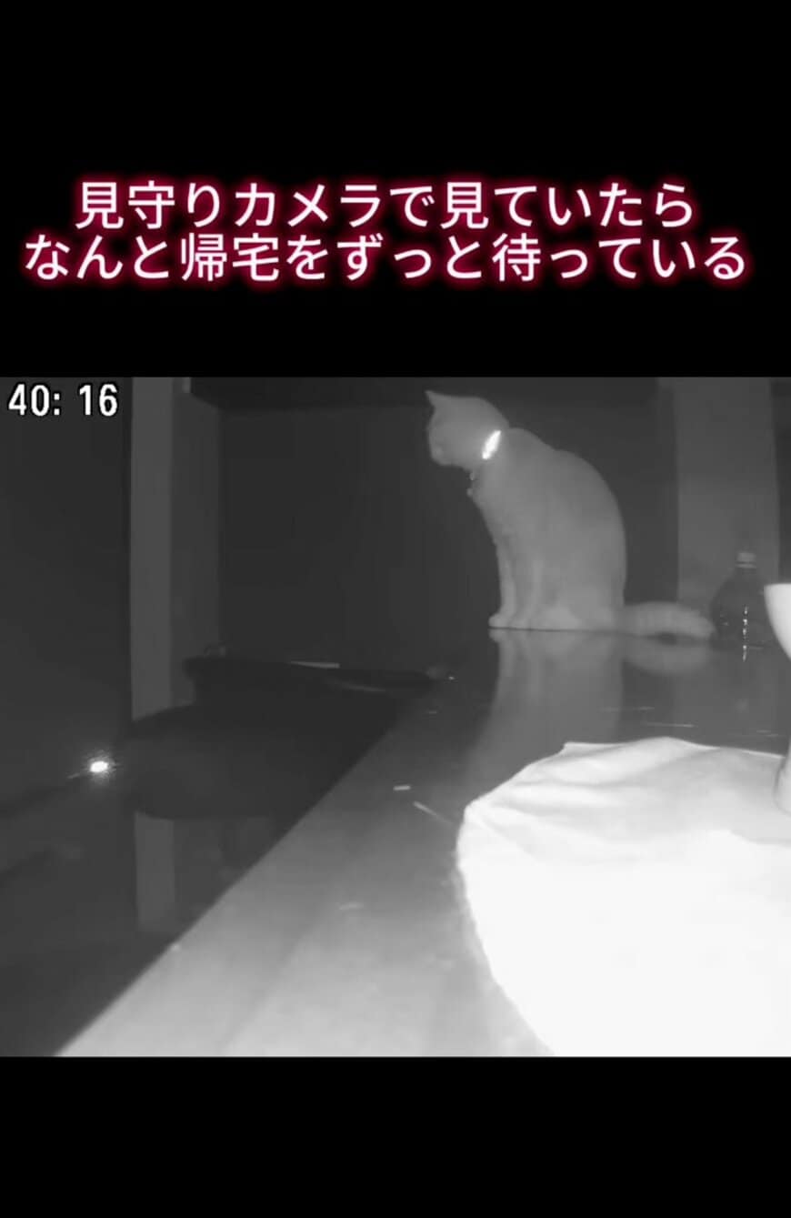 出所：@sorakai0905