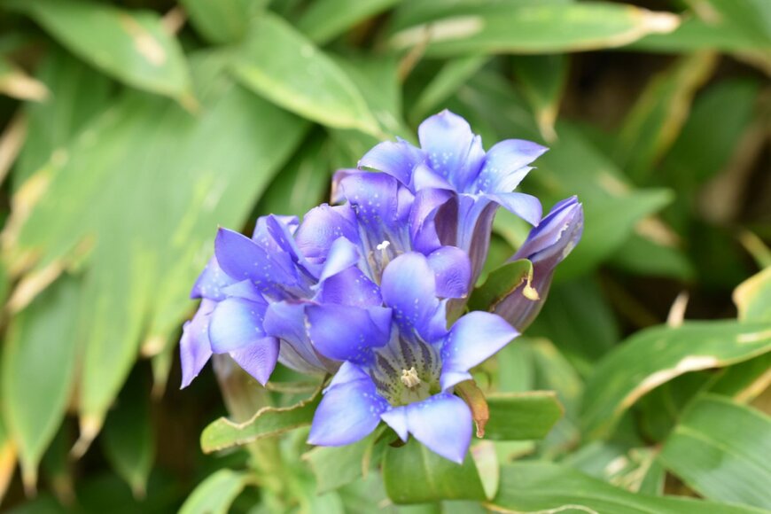 tosamanoi/shutterstock.com