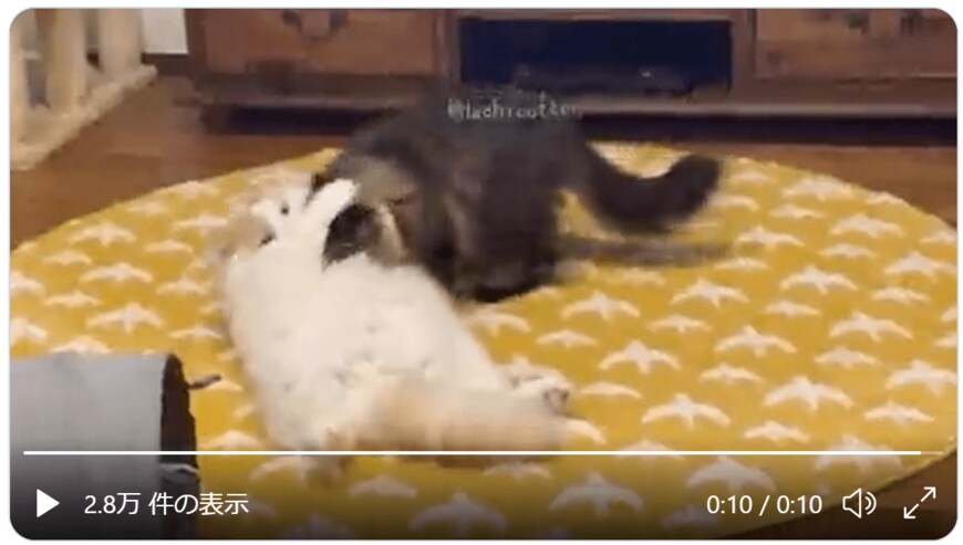 出所：ぽてねのアポロ@Hachicotton