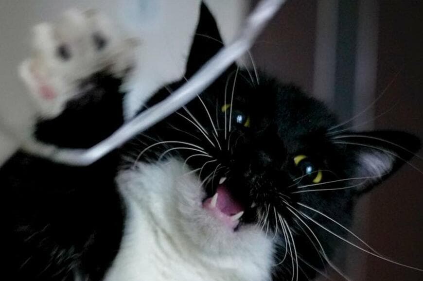 出所：@unicouniuni3