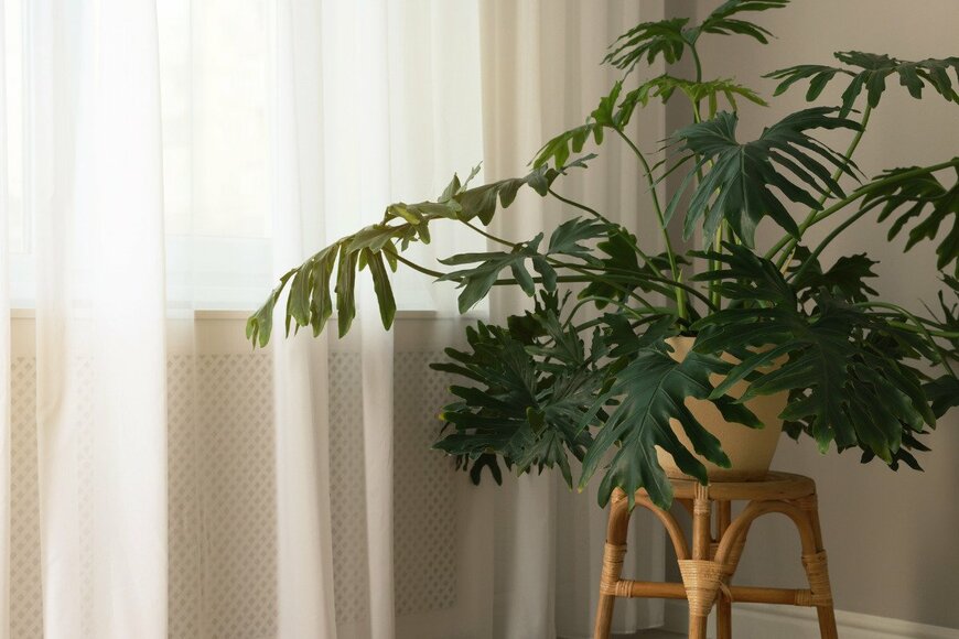 Liudmila Chernetska/istockphoto.com