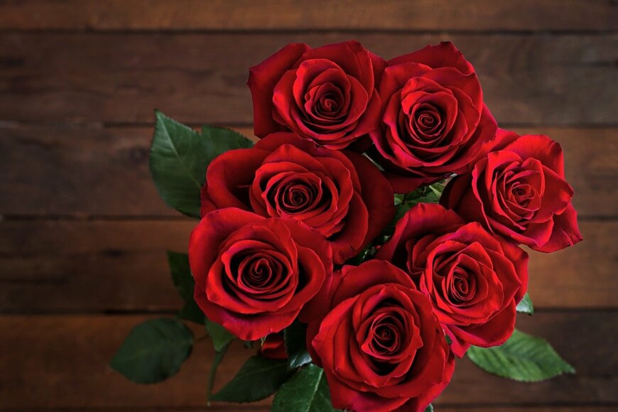 【ガーデニング】12月の誕生花・赤いバラの花言葉や育て方。お洒落な花束に愛を込めて