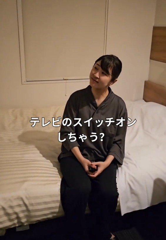 とりあえずテレビを見る様子