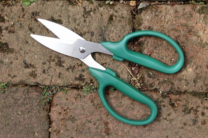持ち手が緑色の園芸ばさみ