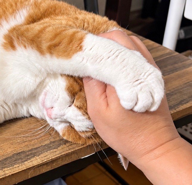 ふうたくんの表情をクローズアップ