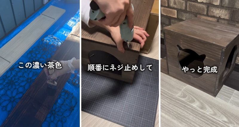 投稿の画像