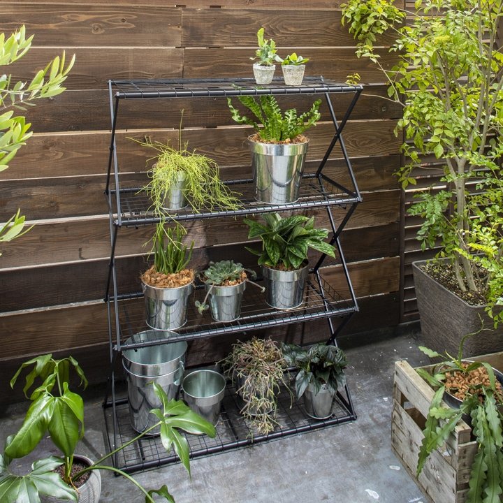 青山ガーデンのパンタグラック L /A 商品画像