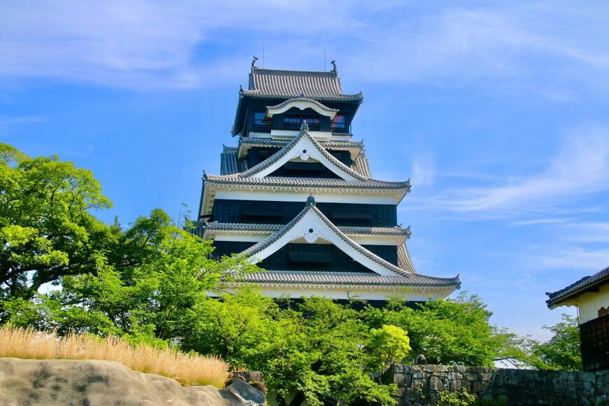 Musashi2001/shutterstock.com