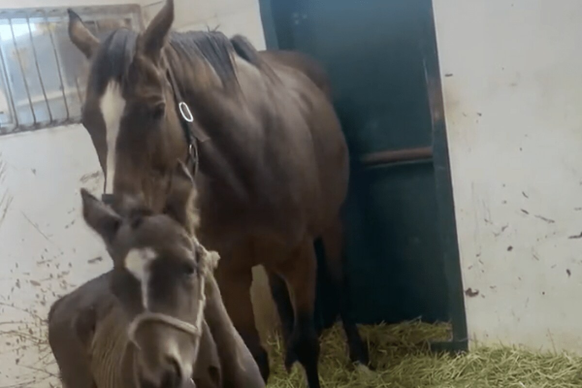 まつげのかゆみの原因