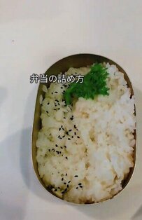 シングル父が作る焼き鳥弁当　センスが光る盛り付けに見入ってしまう