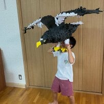 小2男子「夏の自由工作」のクオリティがとんでもない　22日間を費やし一人で作り上げた「オオワシ」に感動