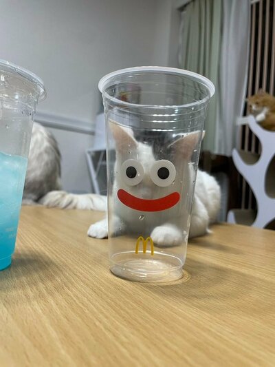 スニャイムがあらわれた！