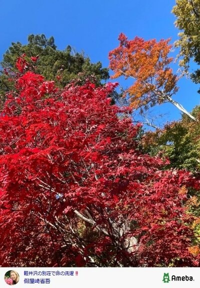 假屋崎省吾のInstagram投稿