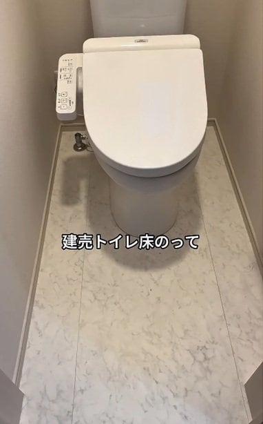 投稿の画像
