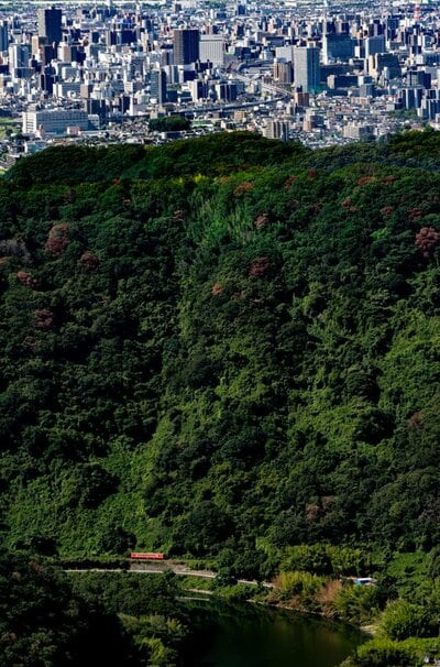 大都会と山間部のコントラストが素晴らしい！