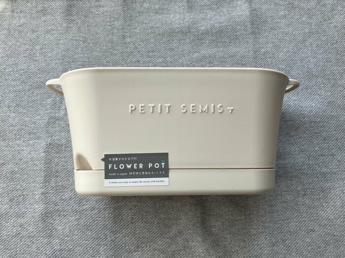 「PETIT SEMIS」はフランス語で「小さな苗」という意味