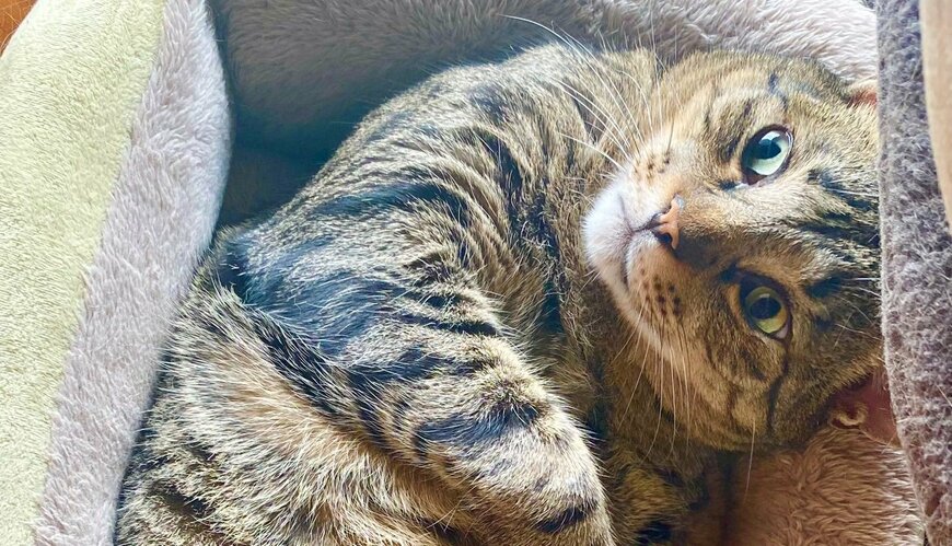 出所：@luna7taka9