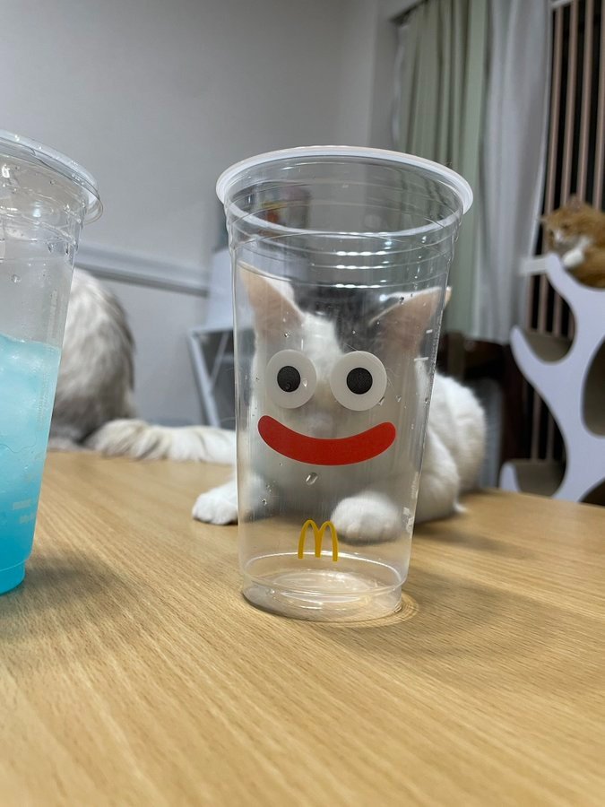 出所：@catcafemfmf