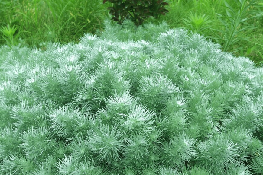 Tessa57/istockphoto.com