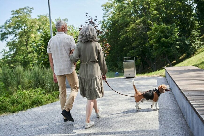 65歳以上リタイア夫婦の平均値「貯蓄・ひと月の生活費・年金月額」はいくら？