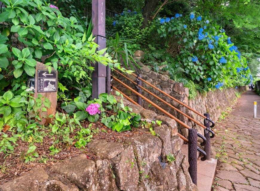 kuremo/shutterstock.com