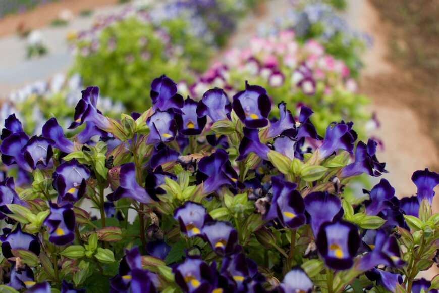 Anwar Attar/shutterstock.com