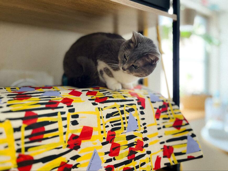 出所：@megthekitten