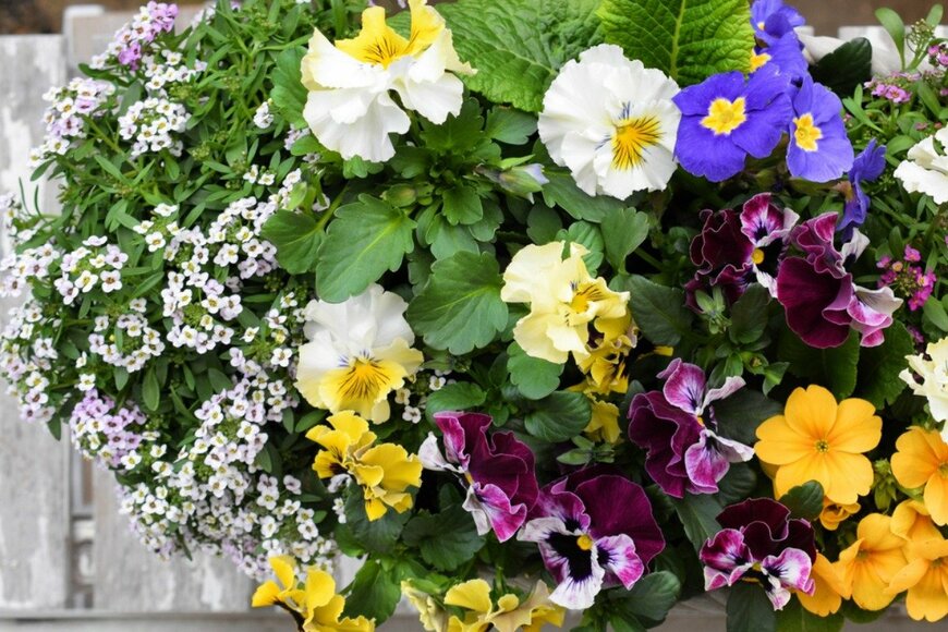 syan/istockphoto.com