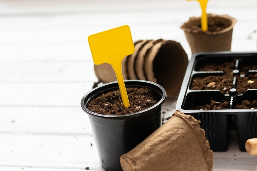 Ekaterina Poltoracnienko/Shutterstock.com