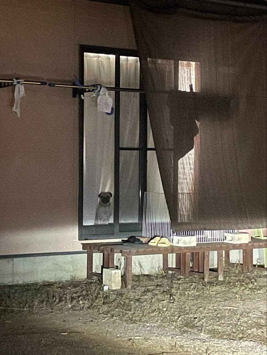 出所：@3mO1vmCNYtEPcWw