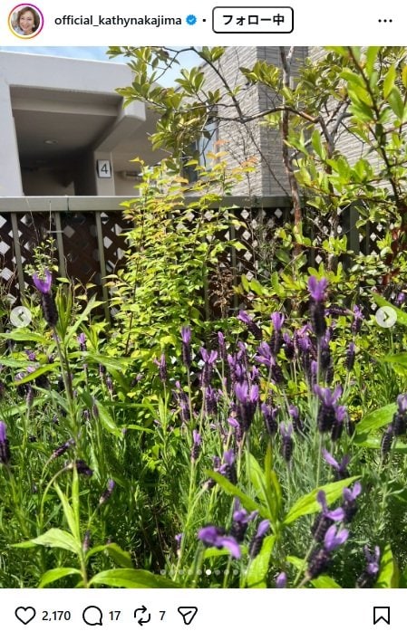 出所：キャシー中島のInstagram（＠official_kathynakajima） 参照日：2026年4月24日